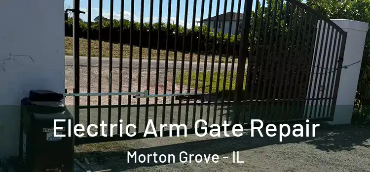 Electric Arm Gate Repair Morton Grove - IL