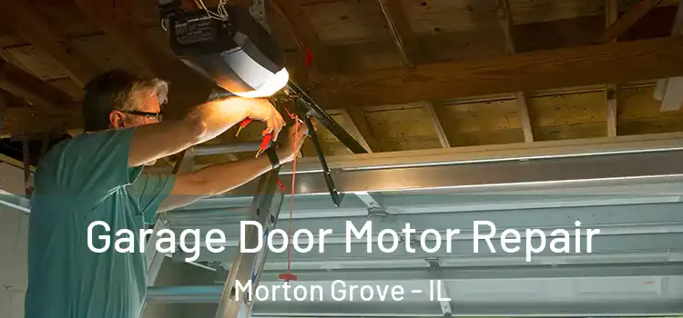  Garage Door Motor Repair Morton Grove - IL