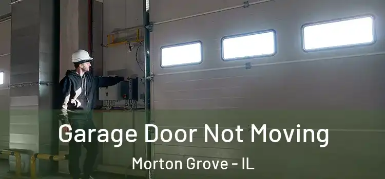  Garage Door Not Moving Morton Grove - IL