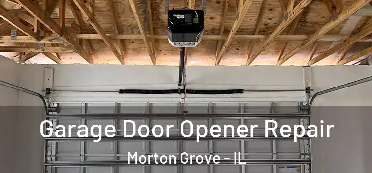  Garage Door Opener Repair Morton Grove - IL