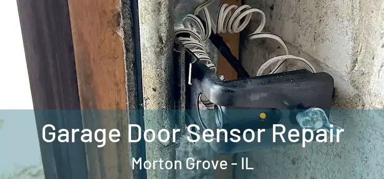 Garage Door Sensor Repair Morton Grove - IL