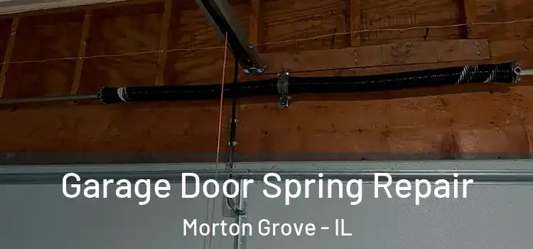  Garage Door Spring Repair Morton Grove - IL