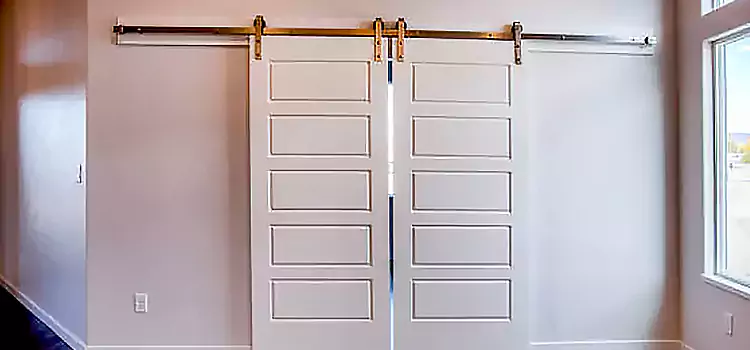 Glass Barn Door with Installation Hardware Kit Morton Grove