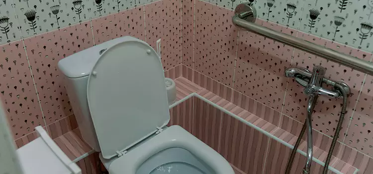 Meeting Diverse Needs With Accessible Restroom Solutions in Morton Grove, IL