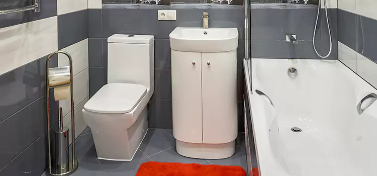 Hansgrohe Shaving Mirror Morton Grove