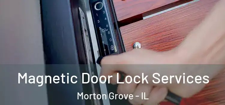 Magnetic Door Lock Services Morton Grove - IL