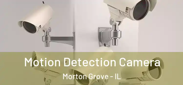  Motion Detection Camera Morton Grove - IL