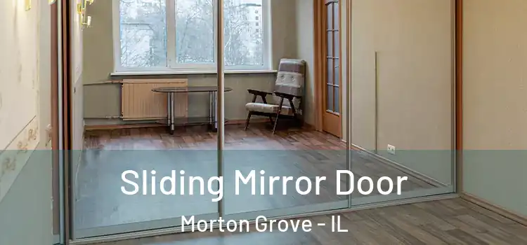  Sliding Mirror Door Morton Grove - IL